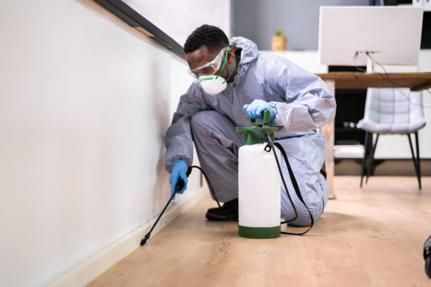 Best Pest Prevention Services  in Canon, GA